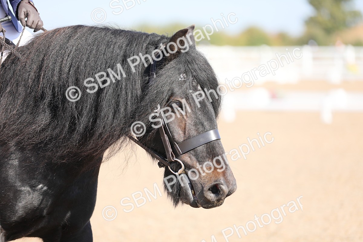 SBM_02512 - Class 30 Intro 1