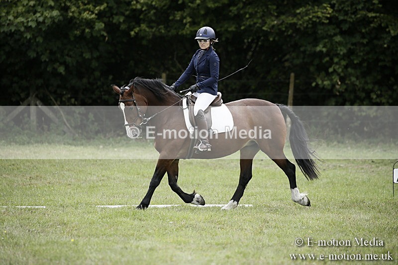 BVR080918 241 - BVRC Novice Dressage & CR 08/09/18