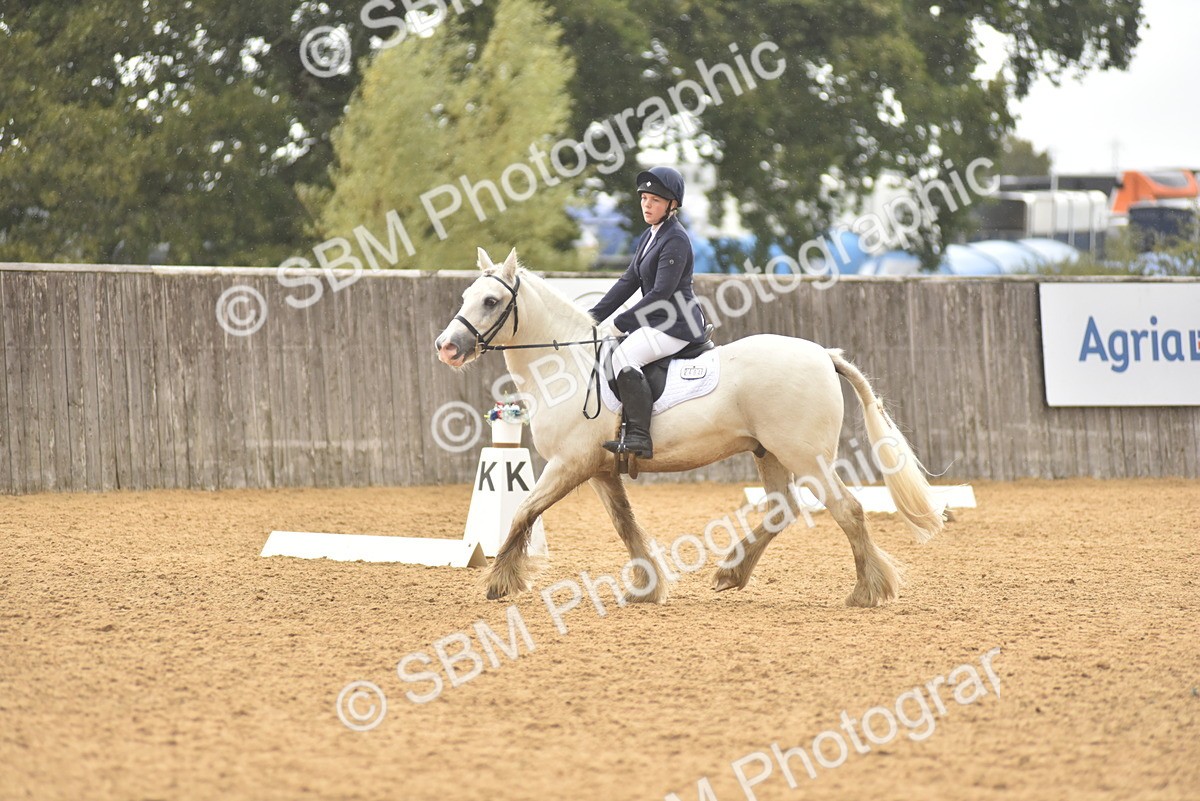 SBM_42416 - D22 - Junior Championship Intro 3