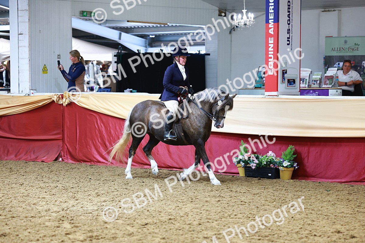 SBM_23219 - Class 905 - Supreme Final - Ridden Veteran