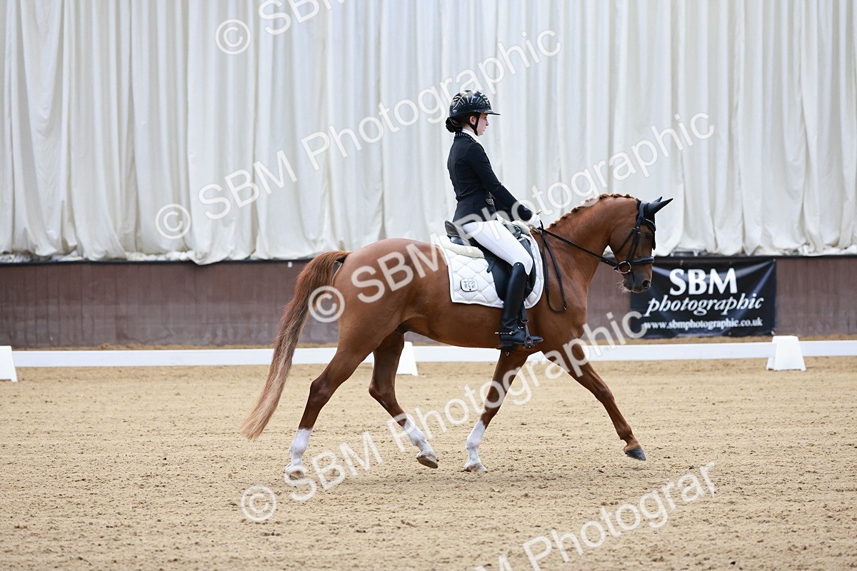 SBM_016767 - Class15 - FEI Pony