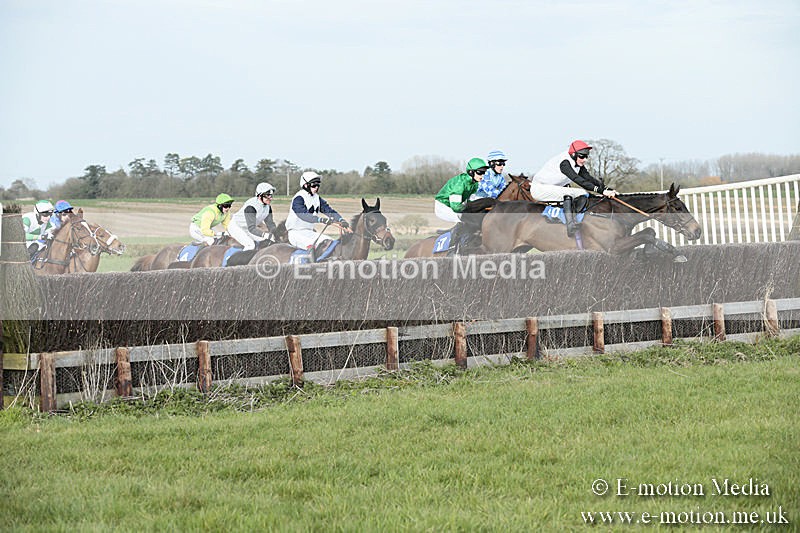 PtP 230319 421 - VWH Hunt Siddington Point-to-Point Racing 23/03/19