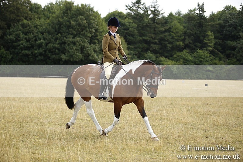 _C7A9503 - BVRC Show 2018 Ring 1