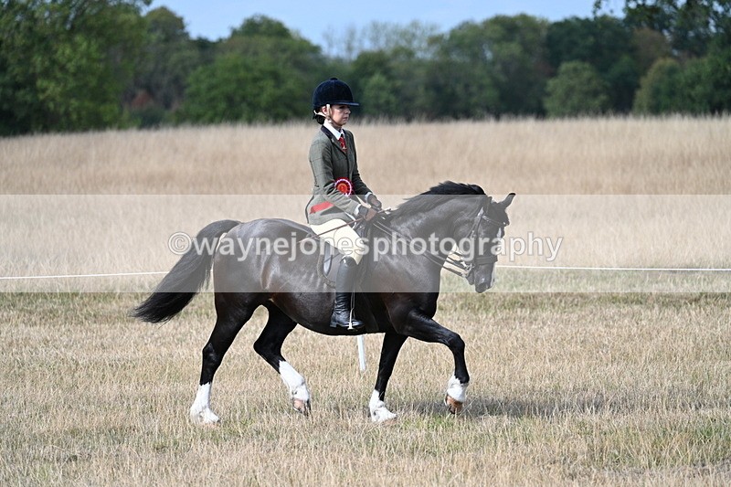 WJ7_7619 - Ridden Championship