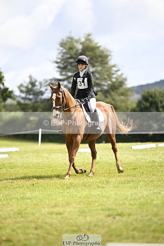 240824X-120700-26210 - D80 Section E and F 12.00 to 13.20