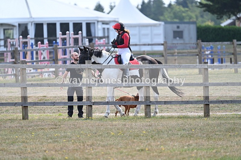 WJ7_2282 - XC Time 12:04 to 12:16