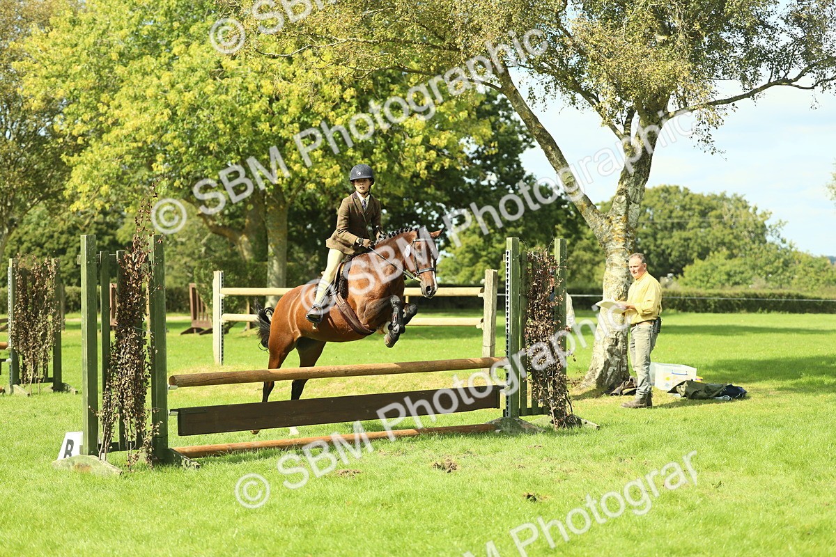 SBM_44597 - S31 - Working Hunter Pony
