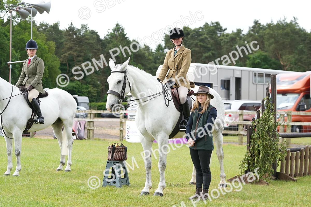 SBM_12780 - Class 97-98 - LIHS BSHA Rising Star Working Show Horse Hunter