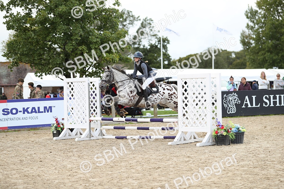 SBM_40277 - J21 - Junior Horse 60cm Championship