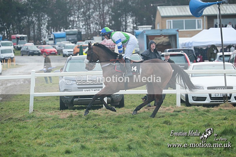 PtP 101223 702 - New Forest Hounds PtP Larkhill 10/12/23