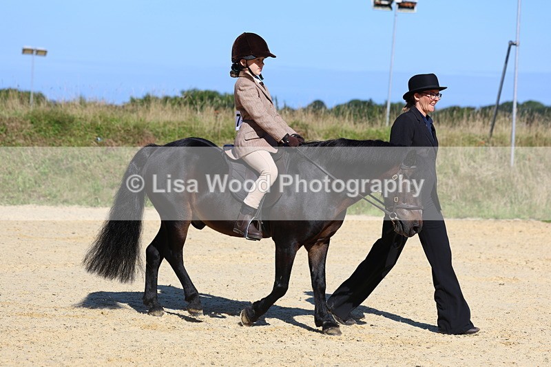 3E7A8005 - Class 15: Lead Rein