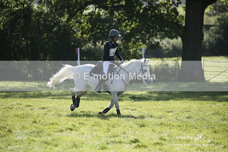 WWHT 031021 766 - Novice Restricted (0.80m) 03/10/21