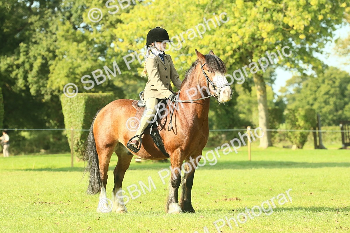 SBM_59916 - S38 - Starters Ridden Showing