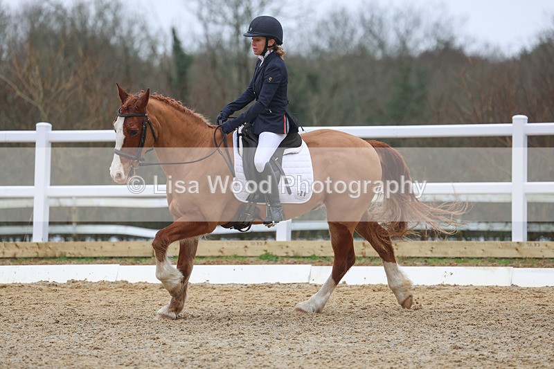 3E7A0951 - Class 5: Novice 1 2024 Section A