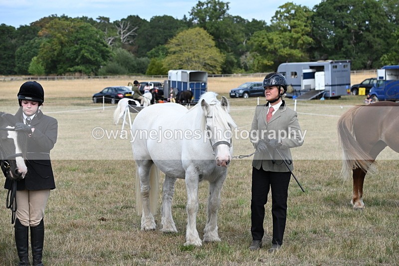 WJ6_6699 - Class 20 In-hand Cob