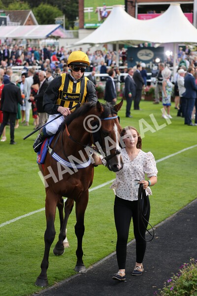 yr18082021r1-33 - Race 1 1.50pm Sky Bet & Symphony Group Stakes