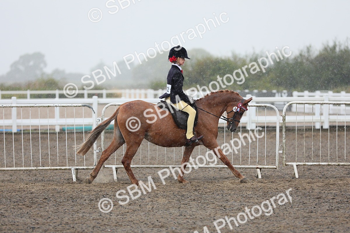 SBM_20574 - Class 804 - Ridden Veteran Pony