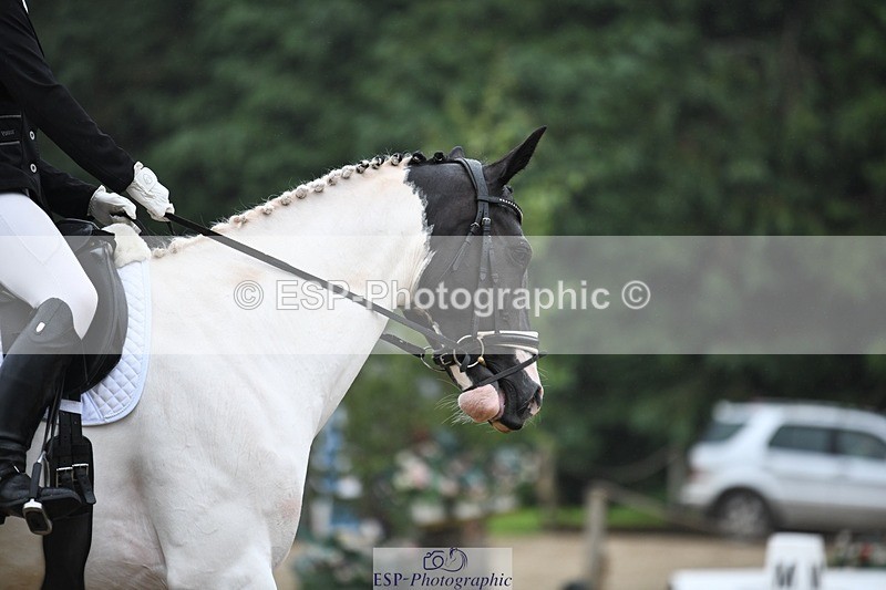 240720-113454-04341 - 123-Michelle_Wallis-Alvescot_Winning_Mood