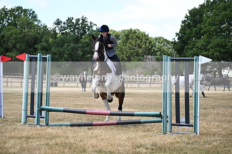 WJ6_5770 - Class 13 Novice 60cm