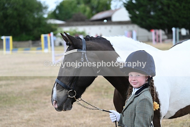WJ7_9713 - Class 5 Most Handsome Gelding (up to 14.2hh)