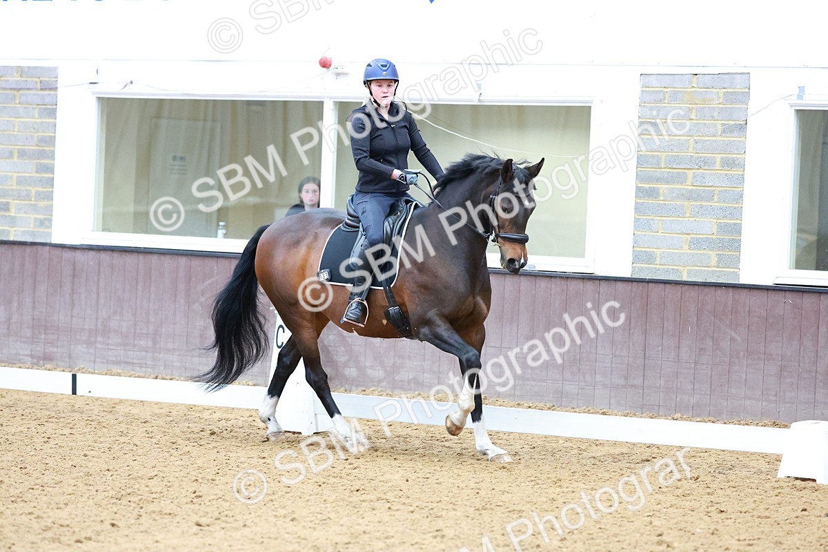 1I0A0771 - Class 3-6 - Prelim 1-Novice 2