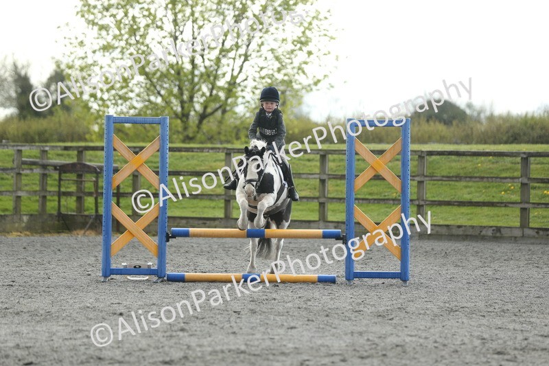 20260412-1954 - Show Jumping