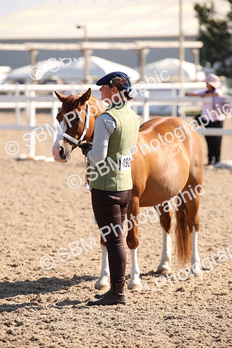 SBM_02713 - Class 16 IH M&M Wildcard