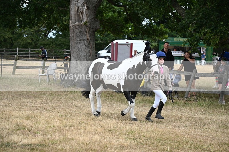 WJ6_8122 - Class 10 Coloured in Hand