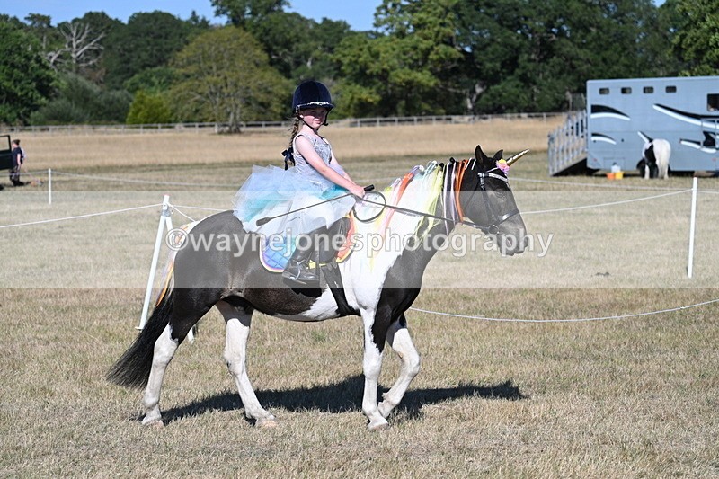 WJ7_2451 - Class 45 Fancy Dress (My Fav)