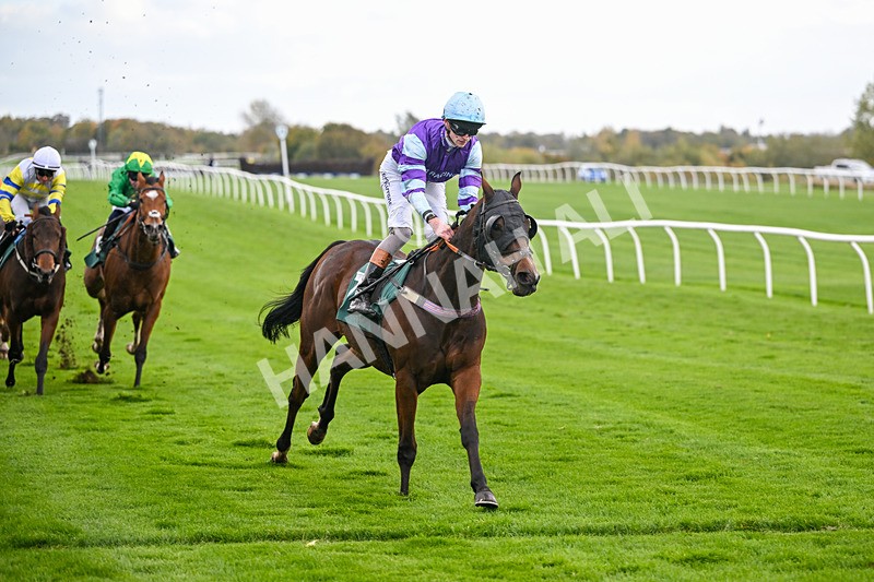 281025-Race 4-Evocative Spark-1531 - Race 4