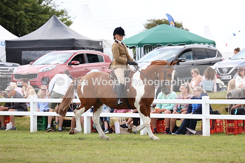 3E7A1842 - Class 10: Open Cob