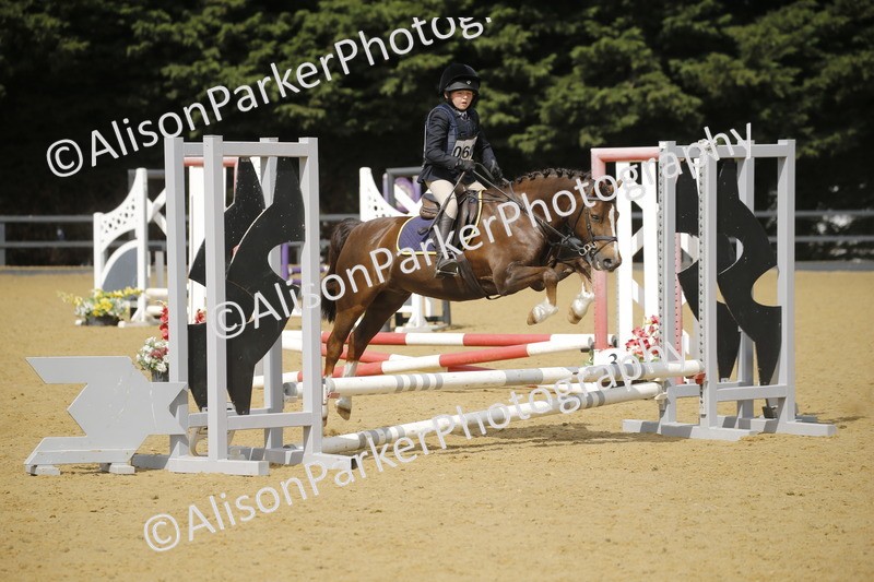 20250622-3673 - 50cm