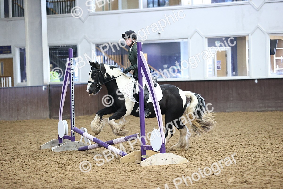 SBM_000221 - Class 2 - The Rug Lady 40cm Area 12 Championship Qualifier