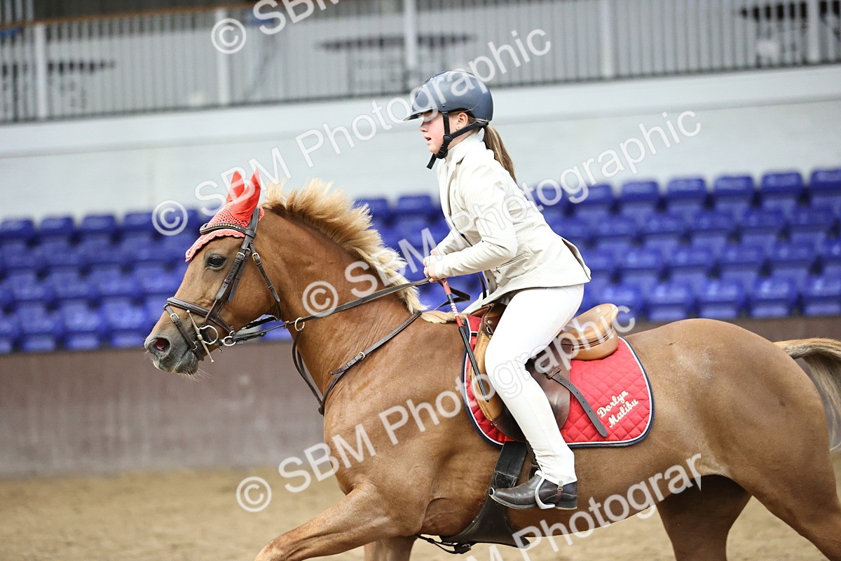 SBM_001919 - Class 10 - Pony British Novice 80cm Open