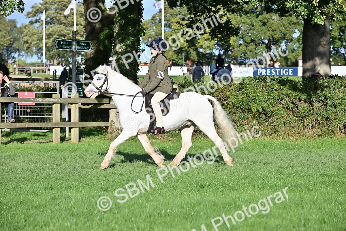 SBM_53047 - S23 - First Ridden Mountain & Moorland Pony