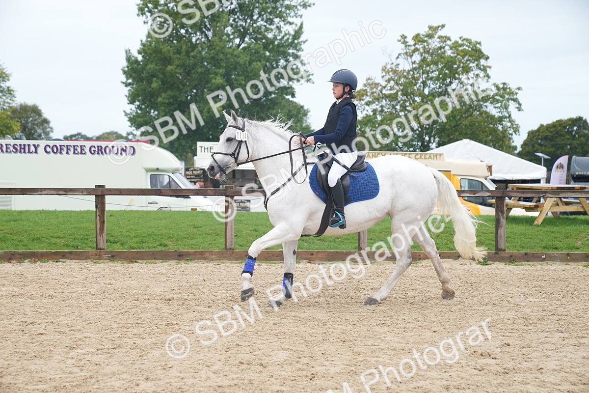 SBM_01815 - J54 - Clear Round 50cm