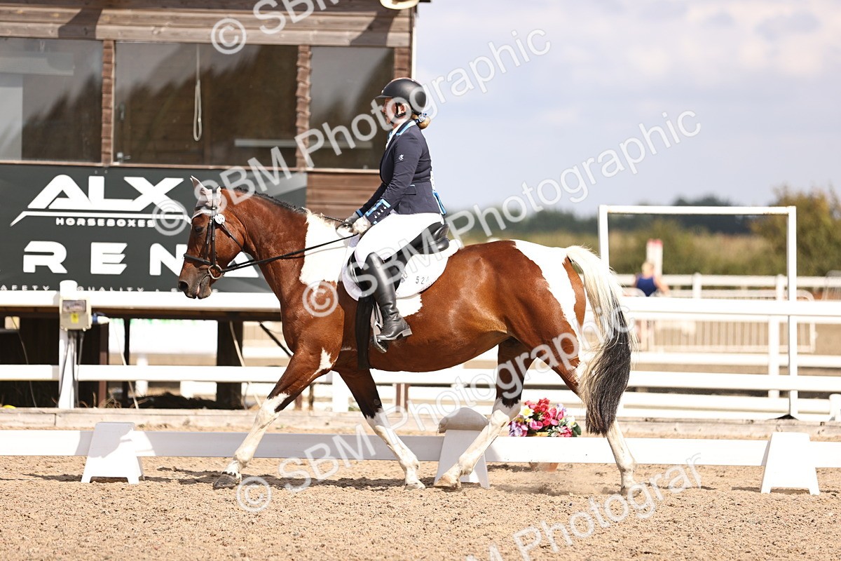 SBM_03719 - CLass 35 Intro 3