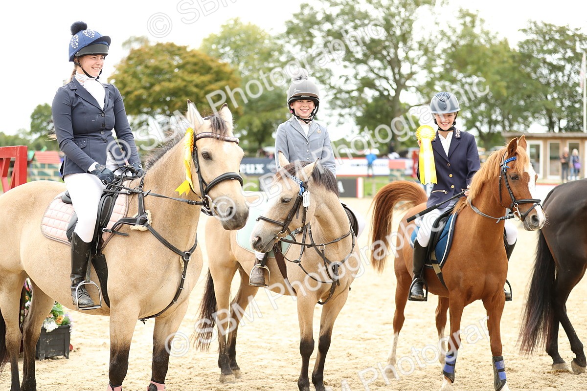 SBM_66069 - J48 - Pairs Jumping Open 70cm & 85cm