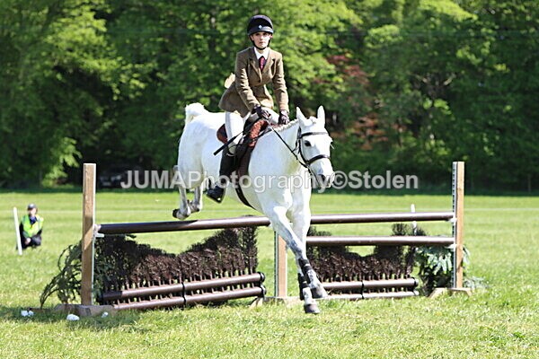 IMG_4838 - Working Hunter