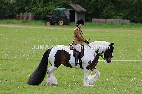 SIAL3235 - Ring 3 and 4