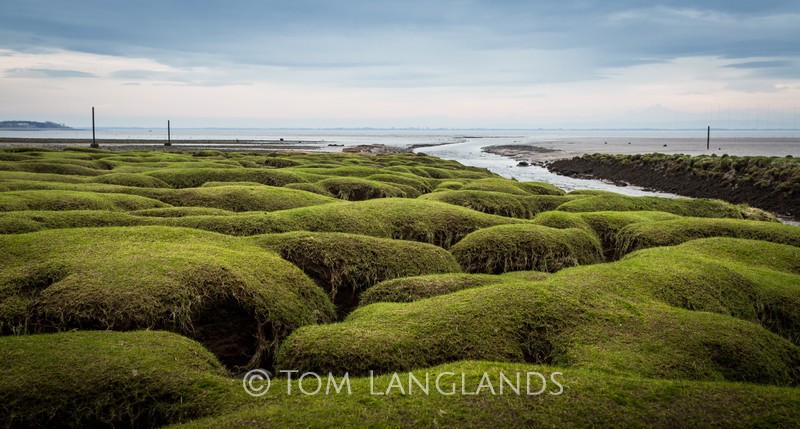 Solway Merse - Landscapes