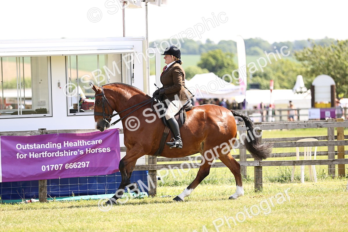 SBM_13740 - Class 77 - LIHS BSHA Rising Star Cobs