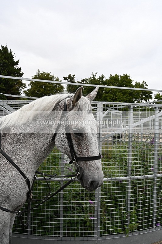 WJ6_2946 - Berks & Bucks - The Old farmhouse - Hound Exercise 20-08-25