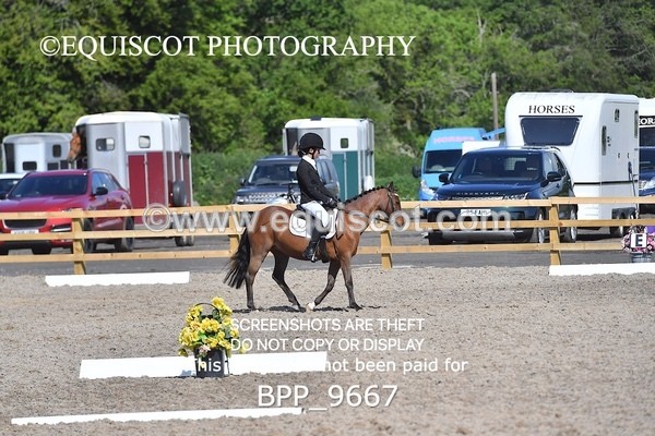 BPP_9667 - SHORT ARENA MY QUEST INTRO