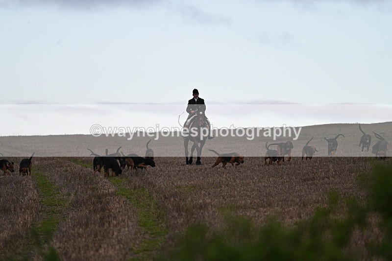 WJ7_9806 - Camera 1 & Last fence