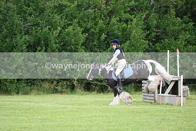 WJ6_2699 - Class 2 40cm