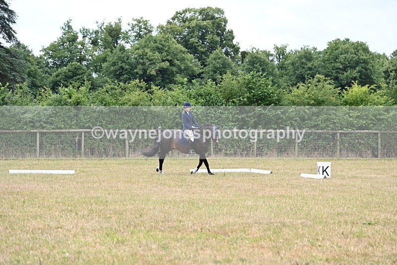 WJ6_3691 - Time 11:43 to 12:14