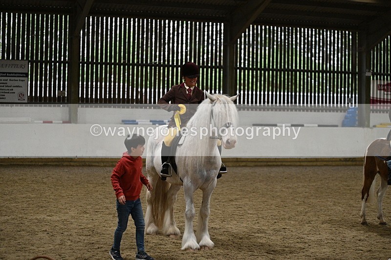 WJ7_3710 - Class 16 Ridden Coloured/ Odd Coloured