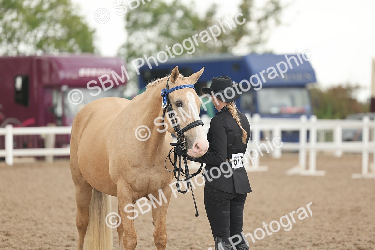 SBM_07690 - Class 26 - IH Foreign Breeds - Part Bred
