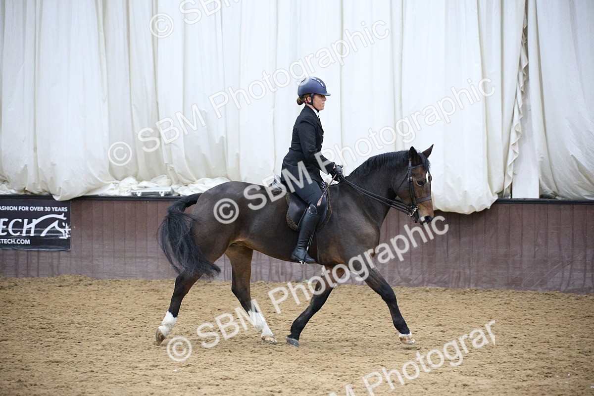 5K7A6072 - Class 48 - Ridden Mare